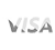 Visa Icon